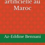L'intelligence artificielle au Maroc: Souveraineté, Inclusion et Transformation Systèmique