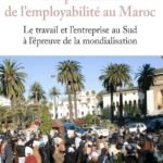 Les paradoxes de l'employabilité au maroc Le travail de l'entreprise au sud à l'épreuve de la mondialisation