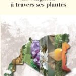 Le Maghreb à travers ses plantes